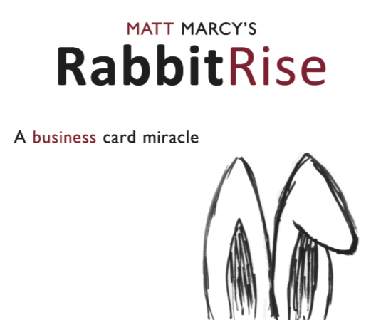 (image for) RabbitRise - Matt Marcy - Click Image to Close